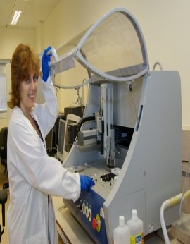 Michal Safran, Ph.D